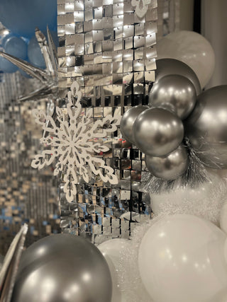 Winter WonderLuxe Backdrop | January 2025