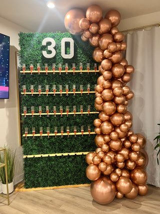 Greenery Champagne Wall Rental