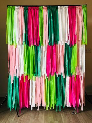 Watermelon Fringe Backdrop