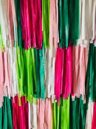 Watermelon Fringe Backdrop