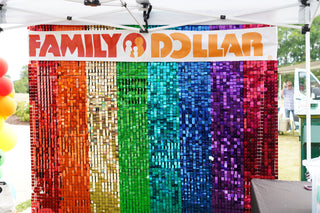 Rainbow Shimmer Wall Rental