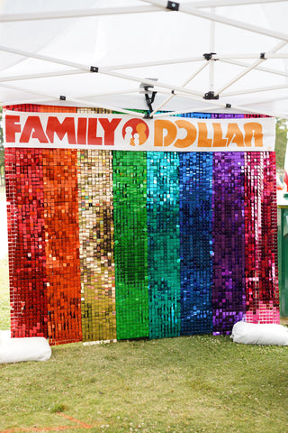 Rainbow Shimmer Wall Rental