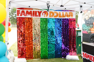 Rainbow Shimmer Wall Rental