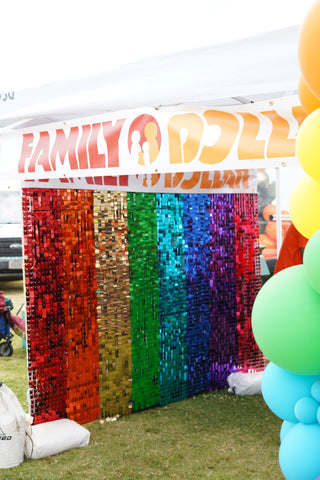Rainbow Shimmer Wall Rental