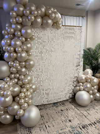 Winter Glam Backdrop | January 2024