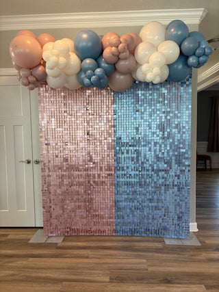 Gender Reveal Shimmer Backdrop
