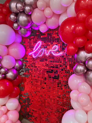 Valentine's Day Backdrop | February 2024