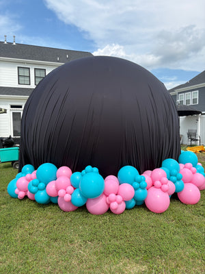 Gender Reveal Balloon Bubble House Rental