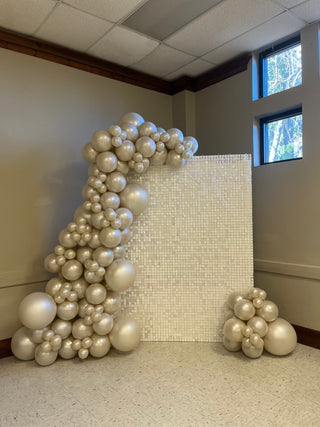Winter Glam Backdrop | January 2024