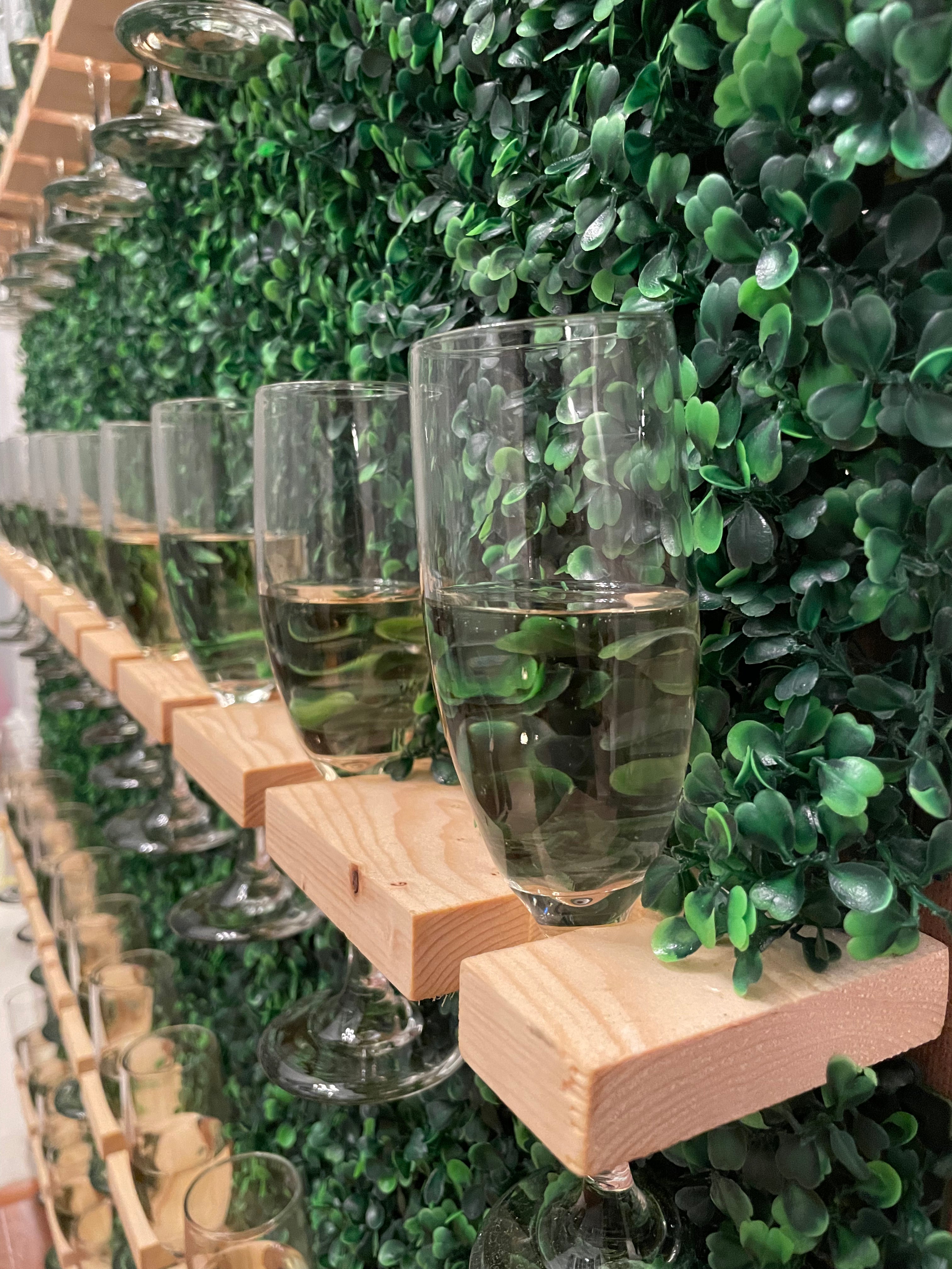 Greenery Champagne Wall Rental