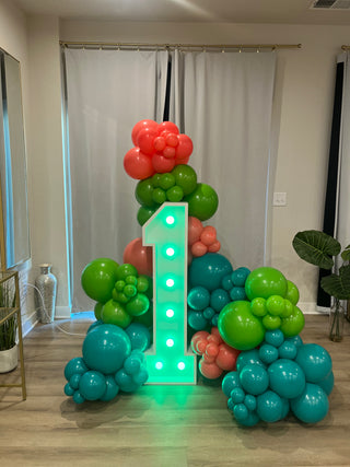 Marquee Number Rental